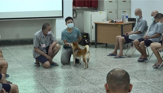 240930動物課程照片3