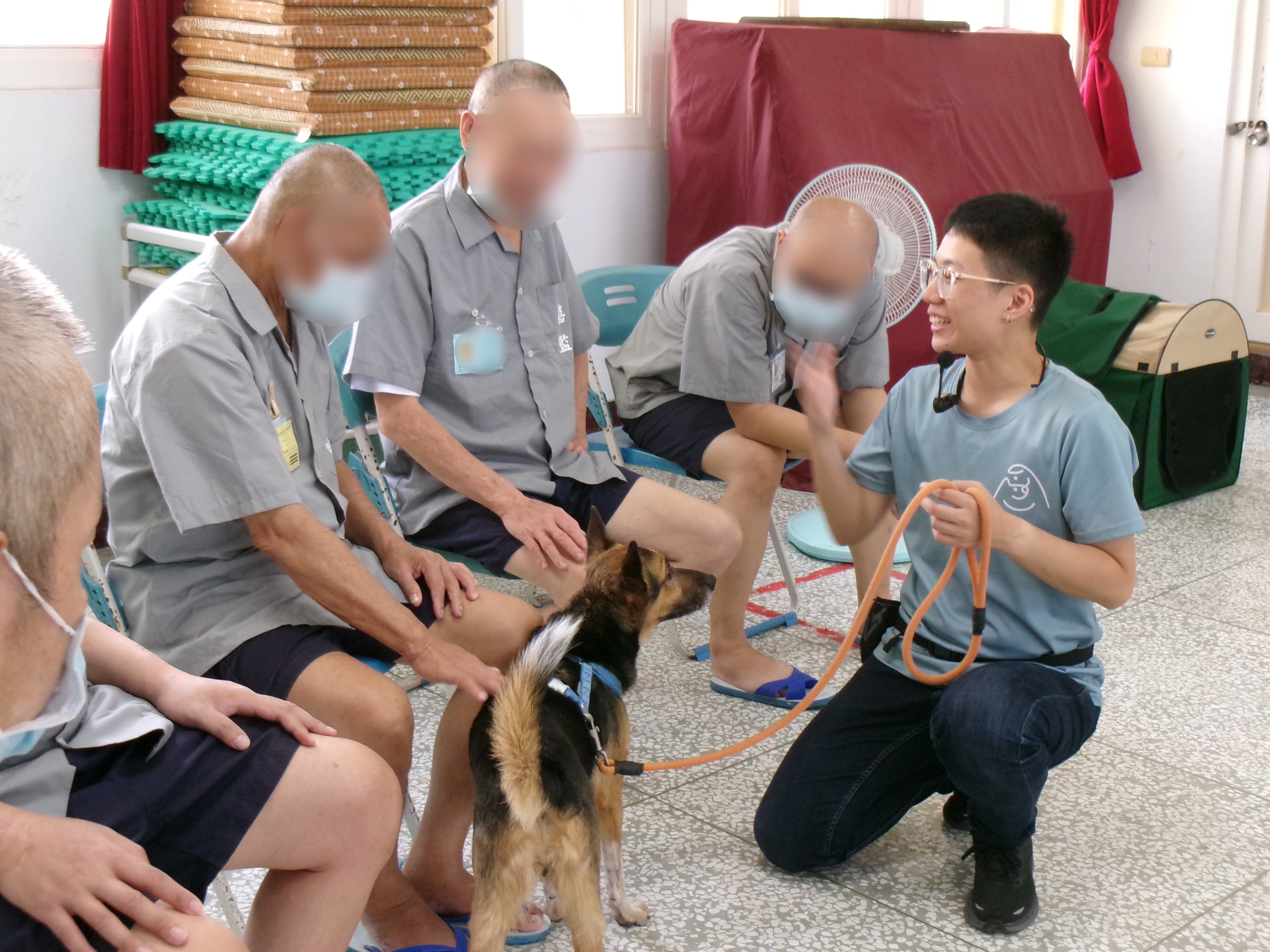 收容人體驗與療癒犬互動