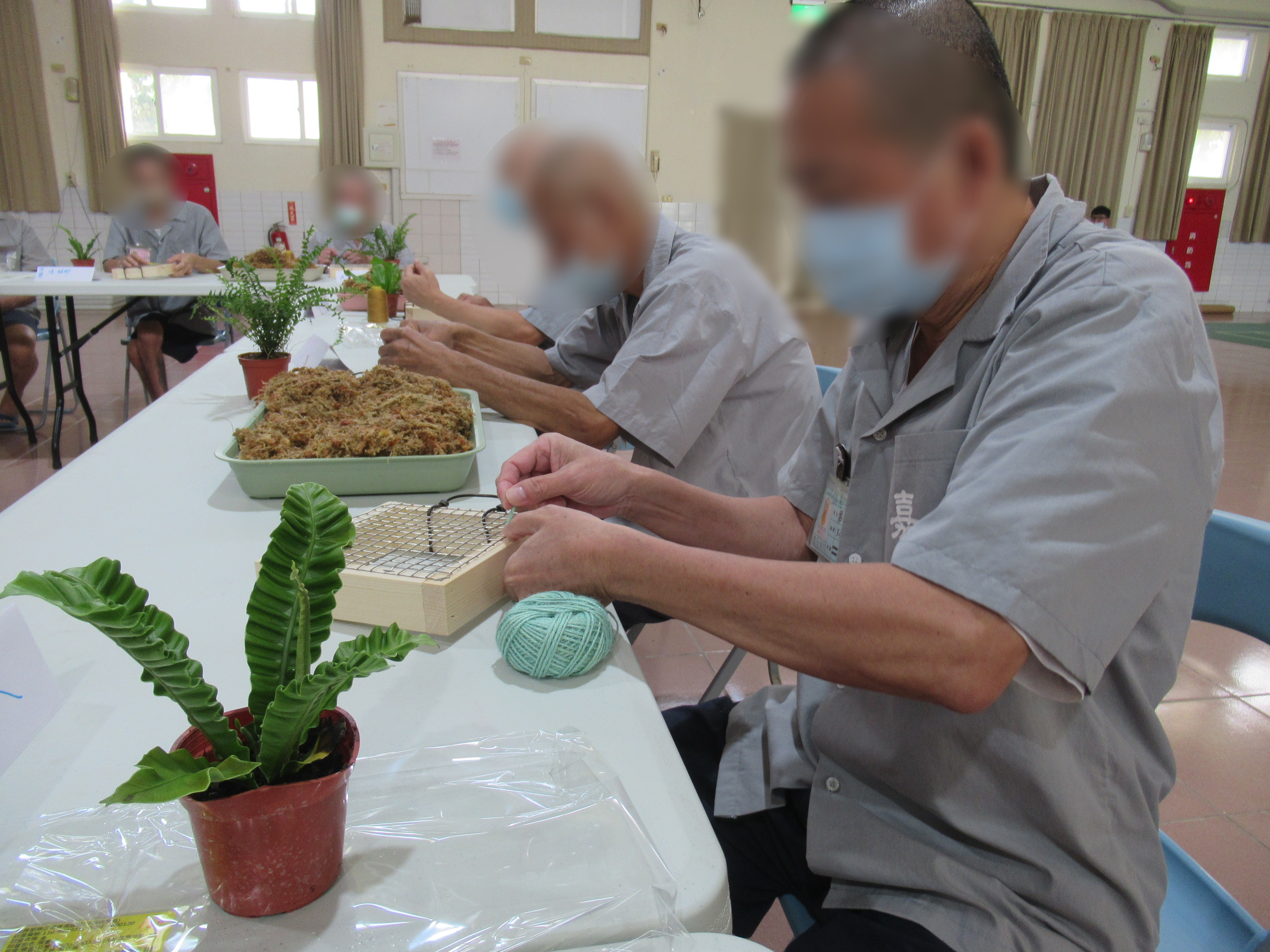 5製作上板植物，表達自身內在感受